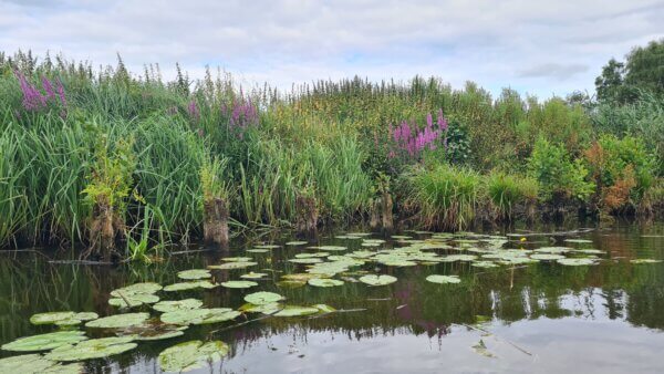 21/06 - Packraften in het Waasland - Onthaastingsroute III